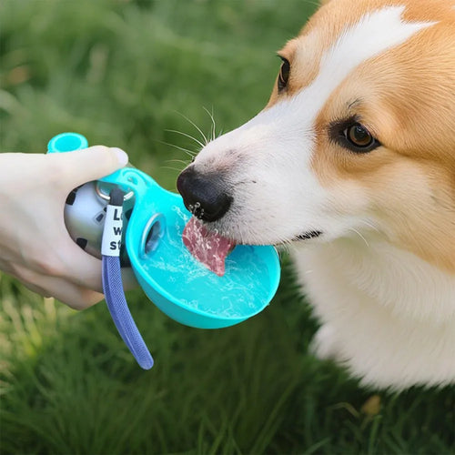Easy Sip Dog Hydration Bottle